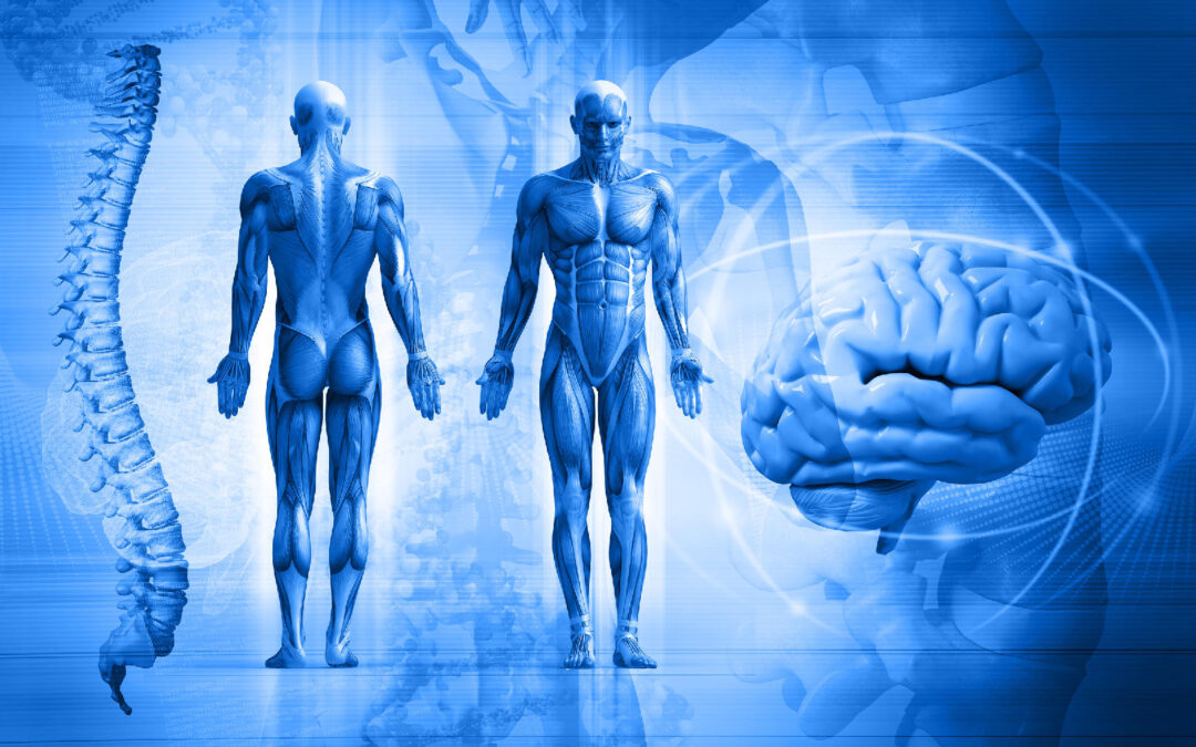 “Qué es la posturología clínica” por Klgo. Omar Cabrera