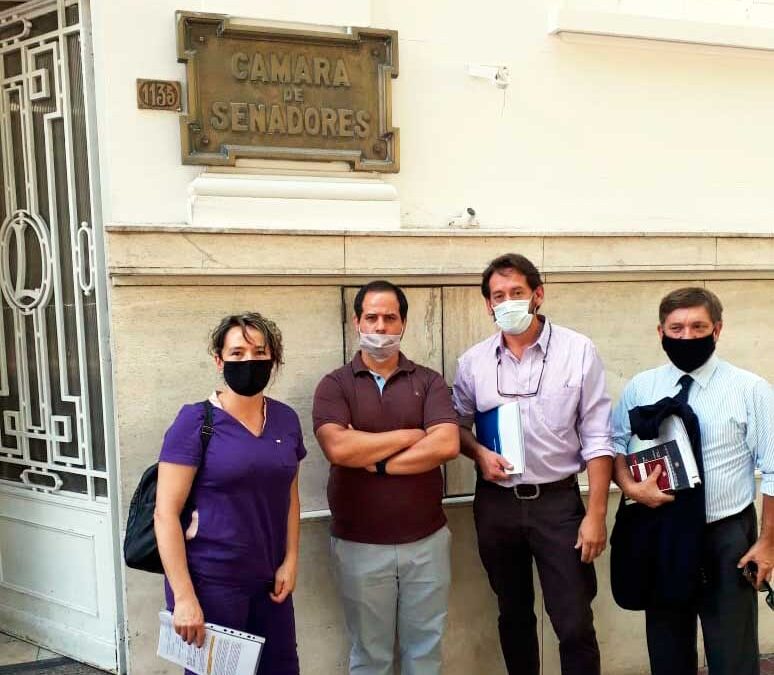 Seguimos trabajando en la reforma de la Ley 5.040 de Ejercicio Profesional, junto a los legisladores.