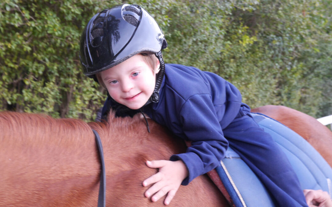 El rol del kinesiólogo en la equino terapia