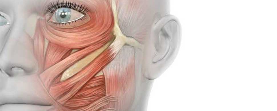 Parálisis facial por Lic. Iván Ahumada