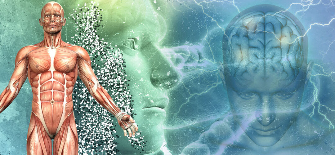 “Dolor de espalda en la kinesiología integrativa”